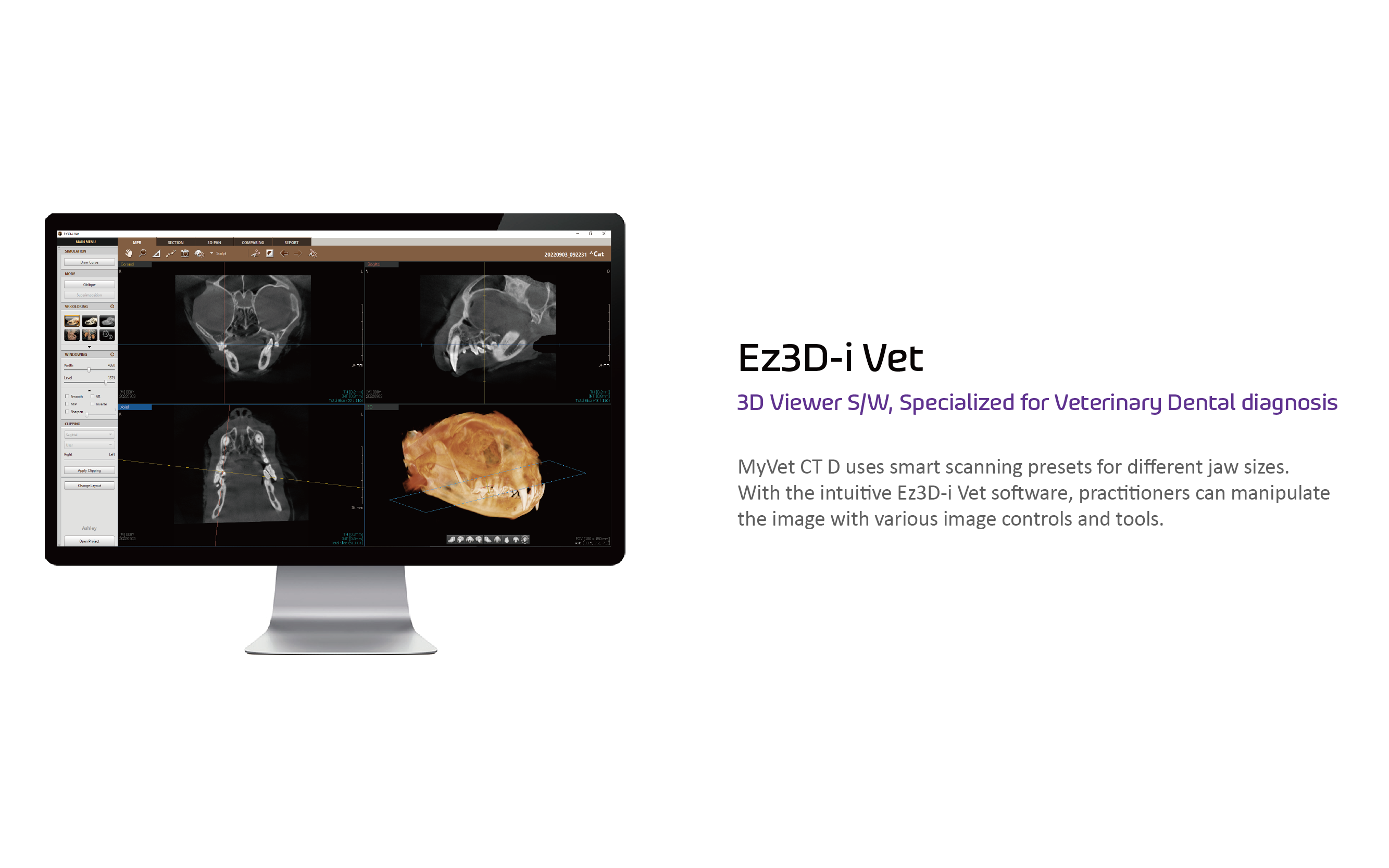 Veterinary Dental CT System Veterinary Dental CT System woorien