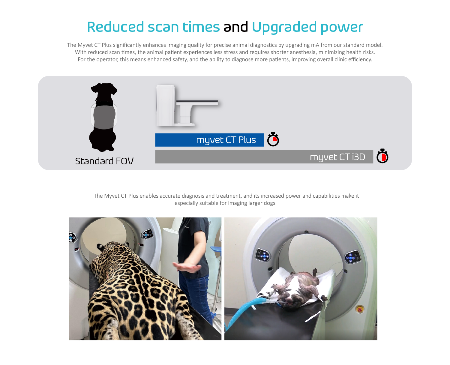 1003-08.png