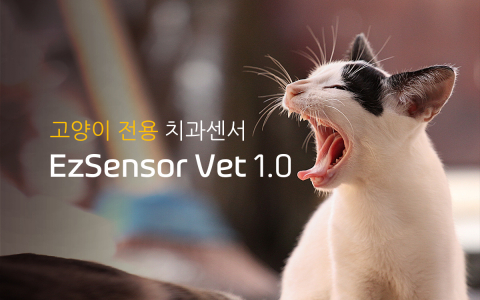 우리엔 고양이용 치과센서 Ezsensor Vet 1.0 출시